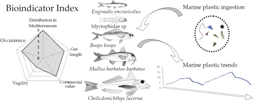 Determining suitable fish to monitor plastic ingestion trends in the Mediterranean Sea Elsevier logo