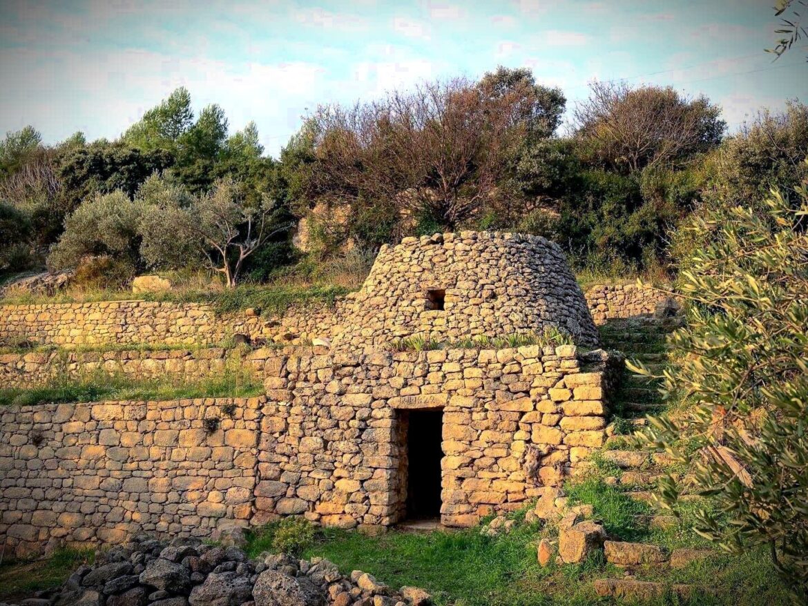 How One Producer Deals with Rising Volumes and A Shorter Harvest in France Olive Oil Times