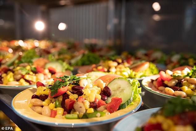 Blood taken from the vegan volunteers over the course of the month showed large falls in several important micronutrients, particularly iodine and Vitamin B12