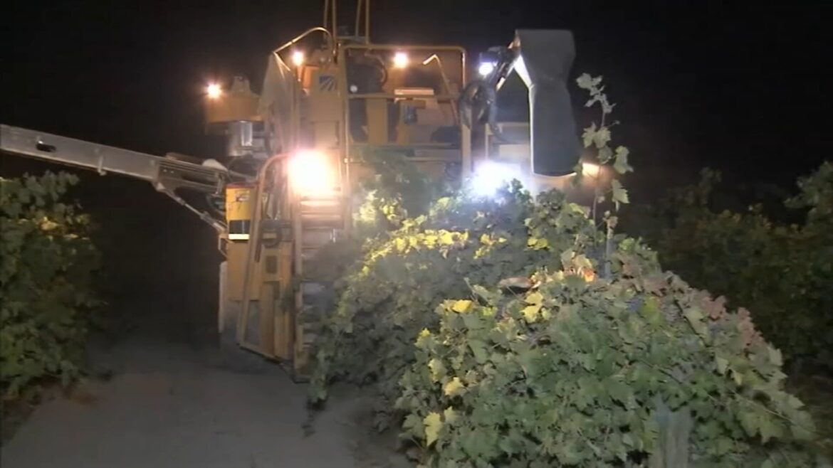 Less concern for California winegrape growers amid Trump tariffs