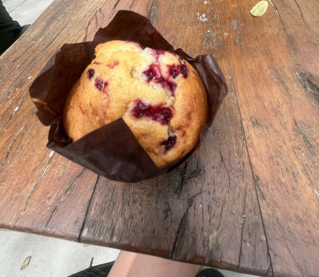 How many cals in this hotdog with fries and rasberries muffin?