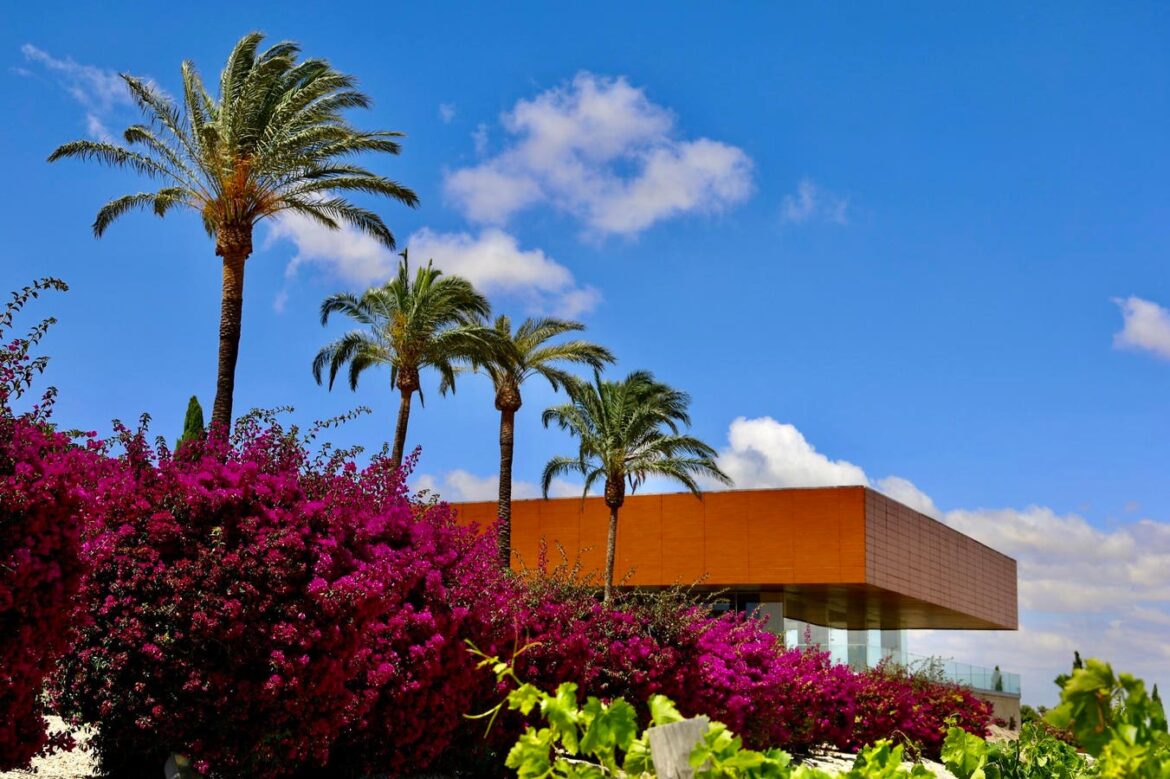 This Spanish Winery Is Challenging Sherry Norms In Jerez This Spanish Winery Is Challenging Sherry Norms In Jerez