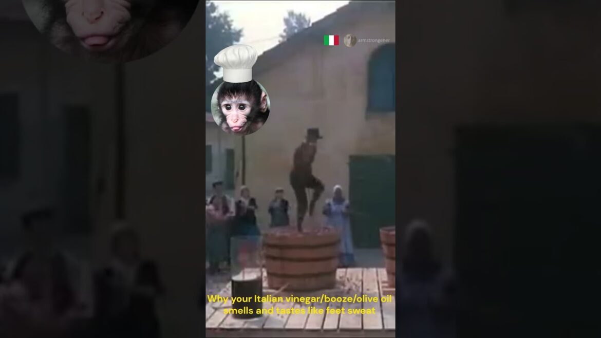 Why Italian vinegar smells like foot sweat - sweaty feet taste wine prosecco booze martini olive oil