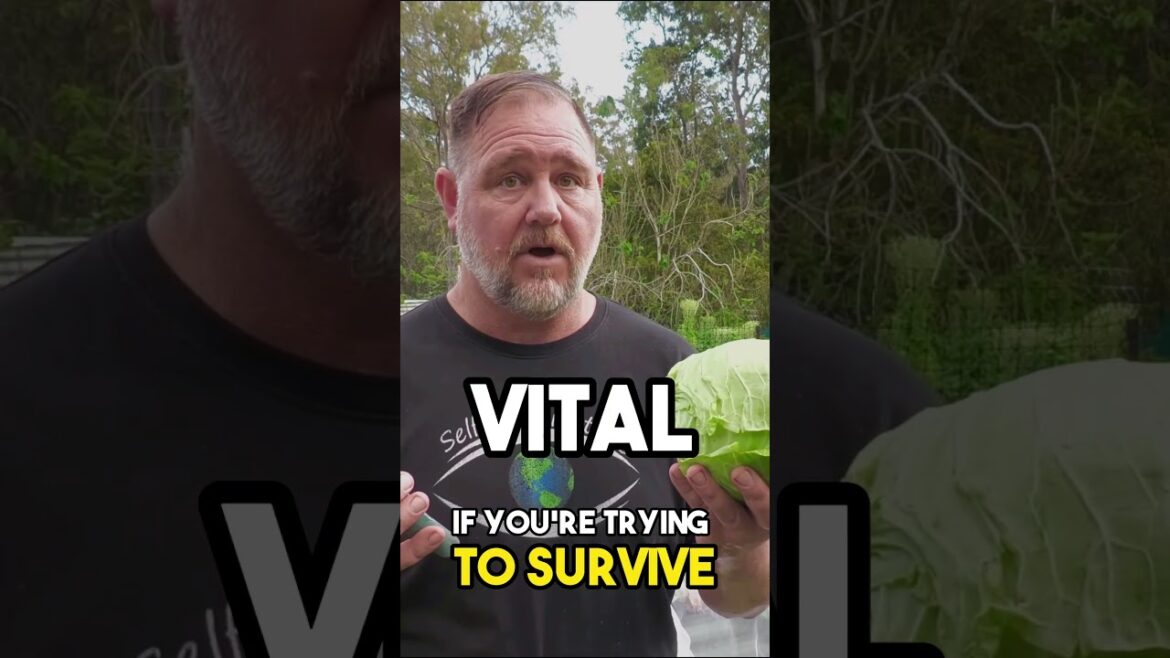 6 TOP Crops to Grow to Save You From STARVING! 6 TOP Crops to Grow to Save You From STARVING!