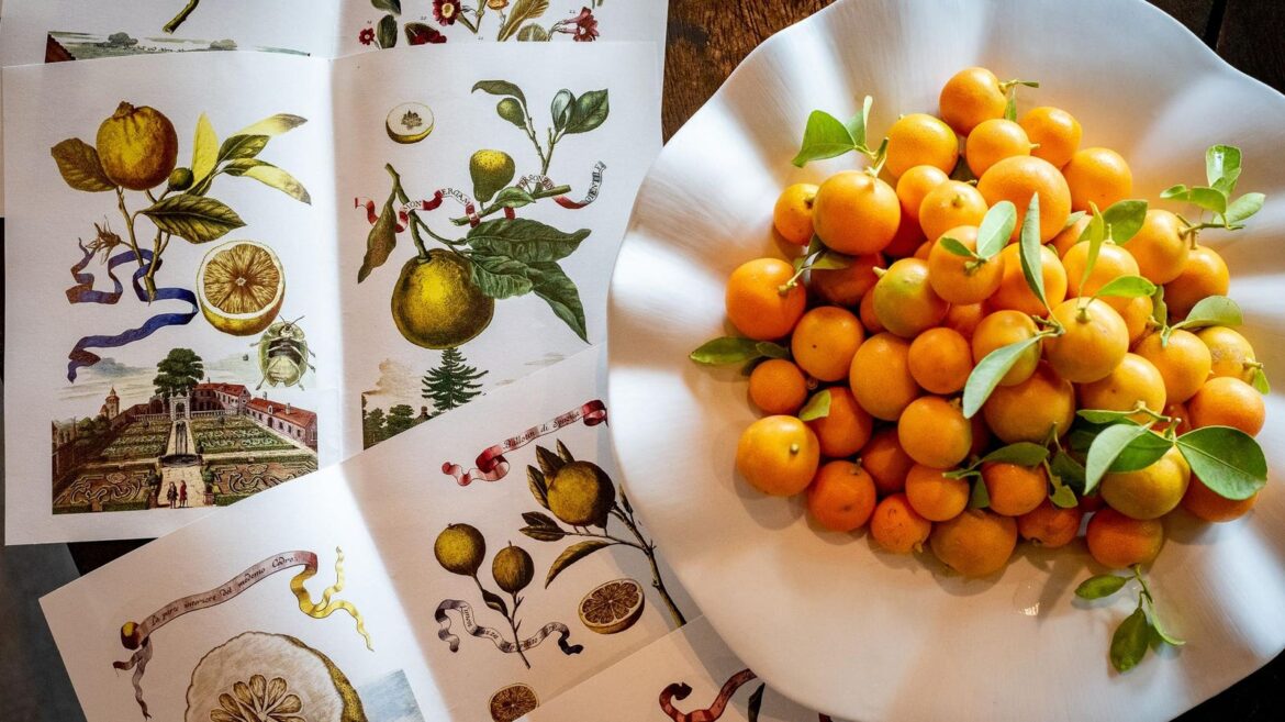 How Chef Mauro Colagreco Looks To The Past To Create The Diet Of The Future How Chef Mauro Colagreco Looks To The Past To Create The Diet Of The Future