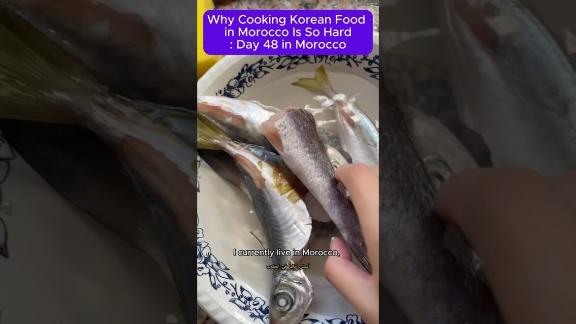 Why cooking Korean food in Morocco is so hard : Day 48 in Morocco