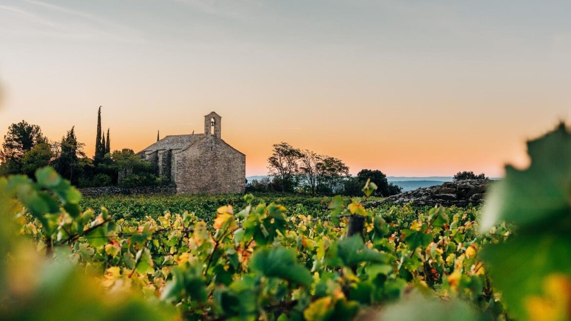 The French Mother And Daughter Crafting Unique Wines From Rare Grapes