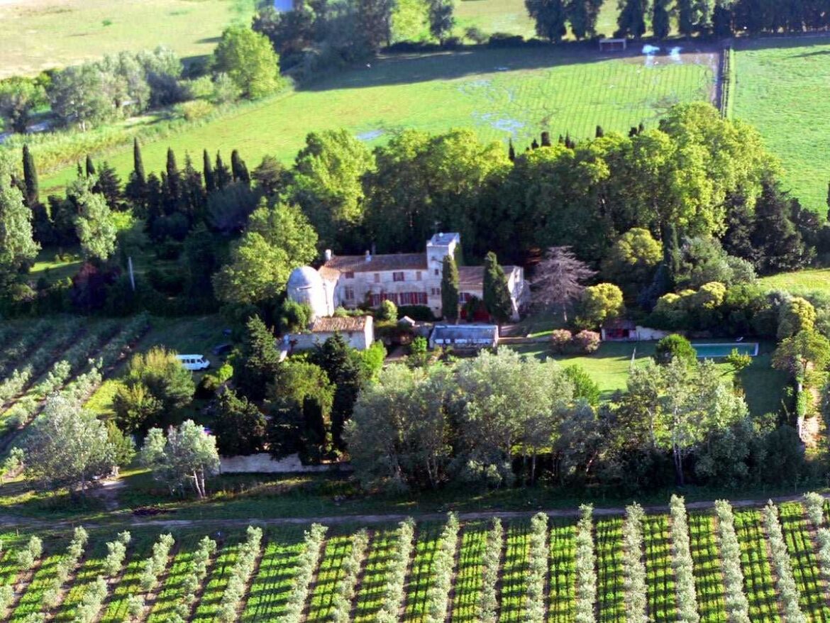 Notes from Panisse: Early Harvest and ‘Fruite Noir’ Notes from Panisse: Early Harvest and 'Fruite Noir'