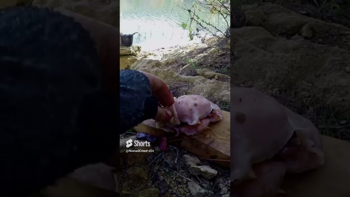 how to cook Chicken Harissa Chili sauce Rosemary #shorts