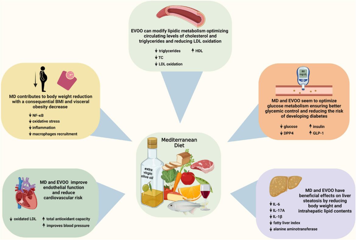 The clinical impact of an extra virgin olive oil enriched mediterranean diet on metabolic syndrome: Lights and shadows of a nutraceutical approach