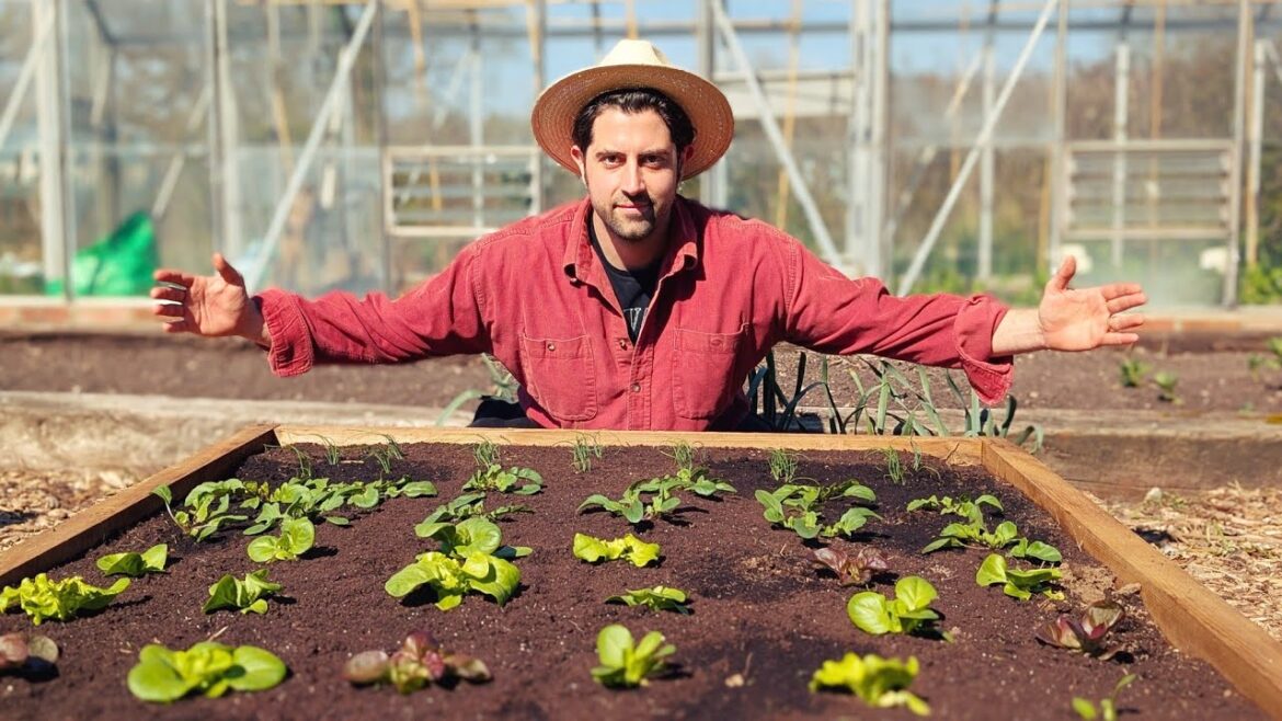 Spring In The Vegetable Garden