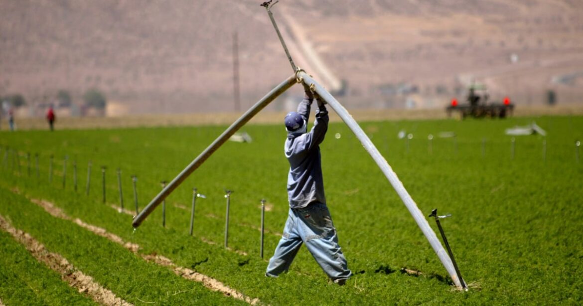 all of the foods that come from Bill Gates farmland