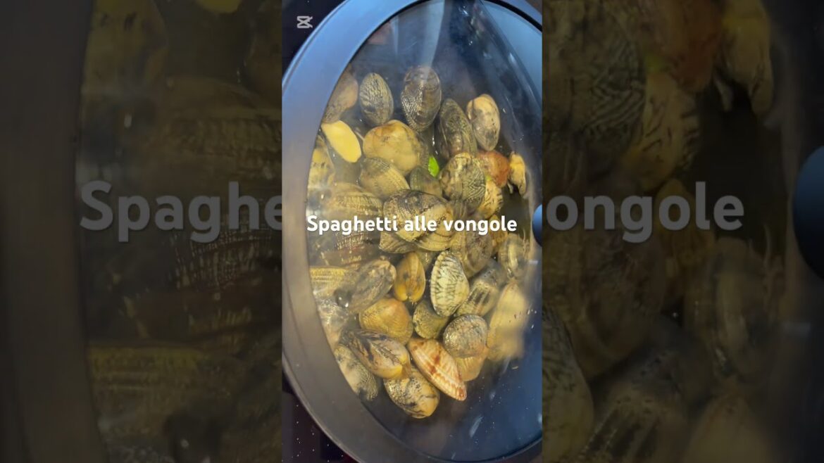 spaghetti alle vongole Italian recipe #napoli #vongole #spaghetti #cookingshow