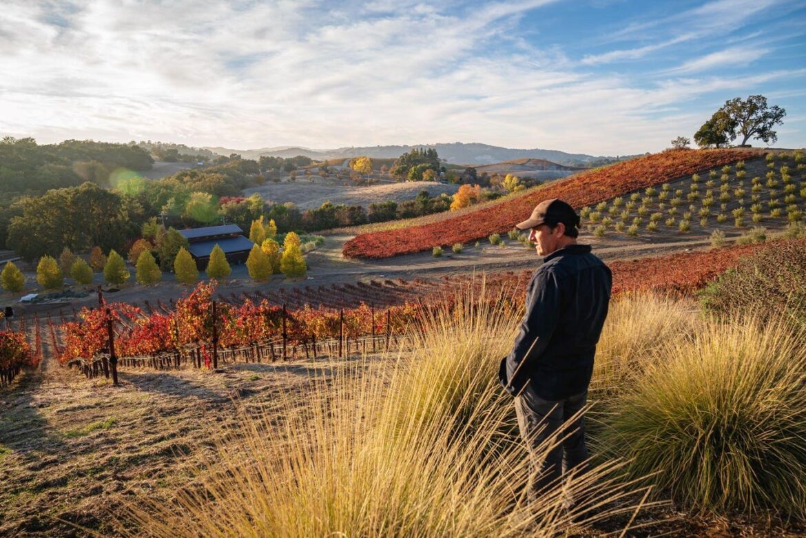 Wine Blends Are The Name Of The Game At This California Winery