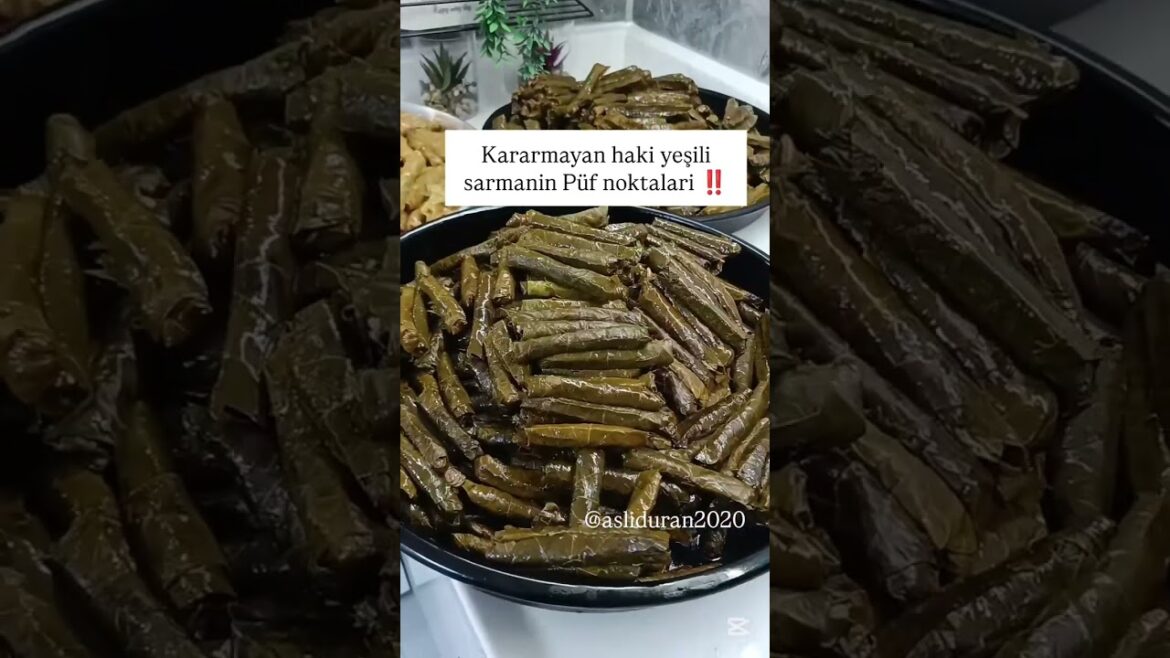 YAPRAK SARMA #pratiktarifler #yemektarifleri YAPRAK SARMA #pratiktarifler #yemektarifleri