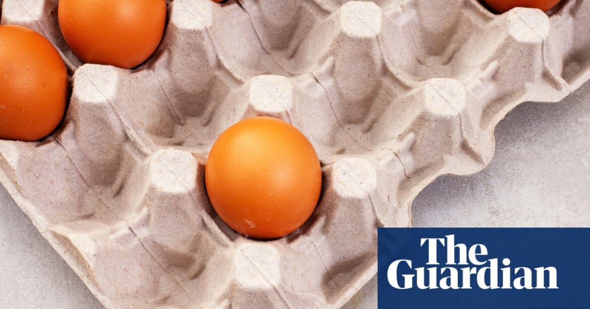 Cheap, reliable egg alternatives: what to use for whipping, baking and high-protein snacking | Eggs