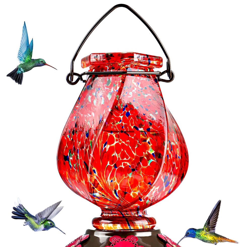 Hand Blown Glass Hummingbird Feeder