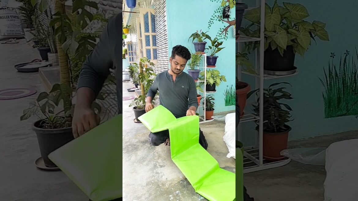 New growbags for terrace garden