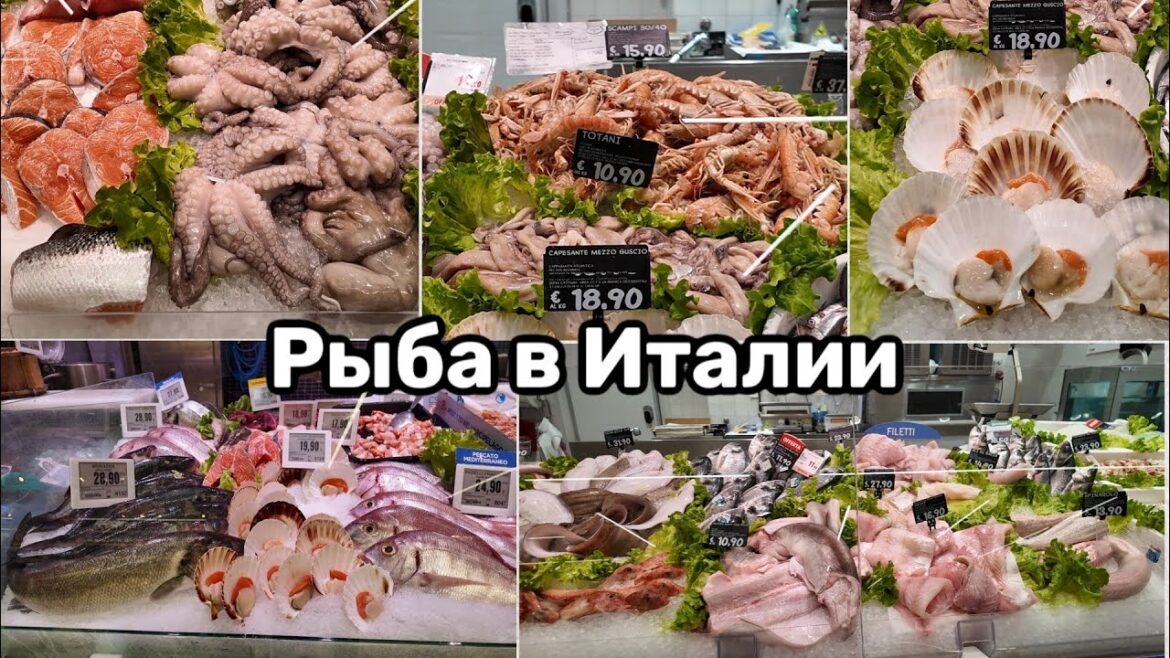 Какую Рыбу Едят в Италии. Баккала в Помидорном Соусе Какую Рыбу Едят в Италии. Баккала в Помидорном Соусе