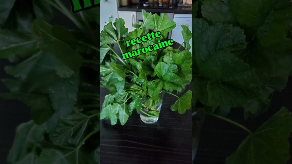 salade marocaine Bakkoula à la mauve