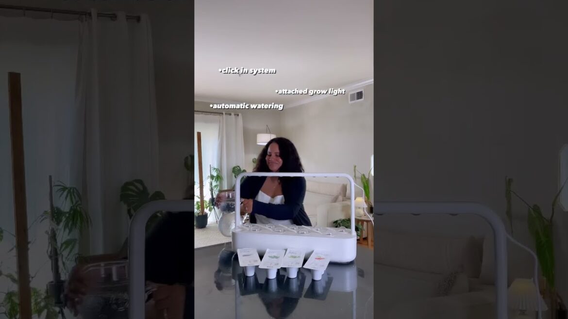 The Smart Garden 9 a indoor vegetable garden from click and grow / how it works