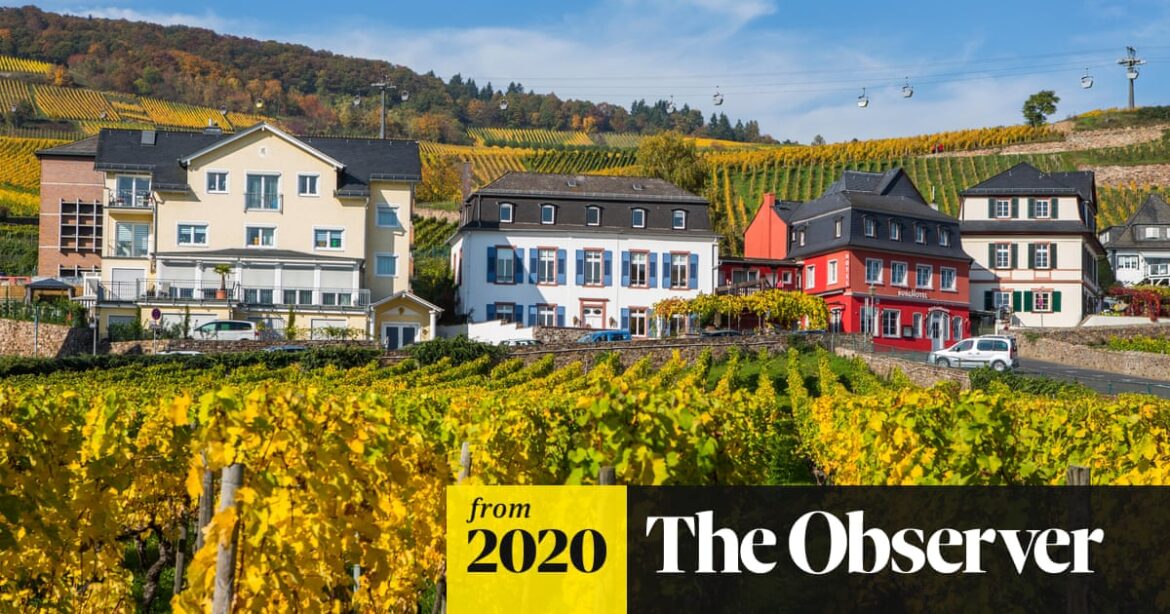 German white wines for summer | Wine