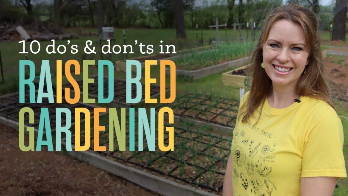 Beginner Gardening Raised Bed Do’s & Don’ts Beginner Gardening Raised Bed Do's & Don'ts