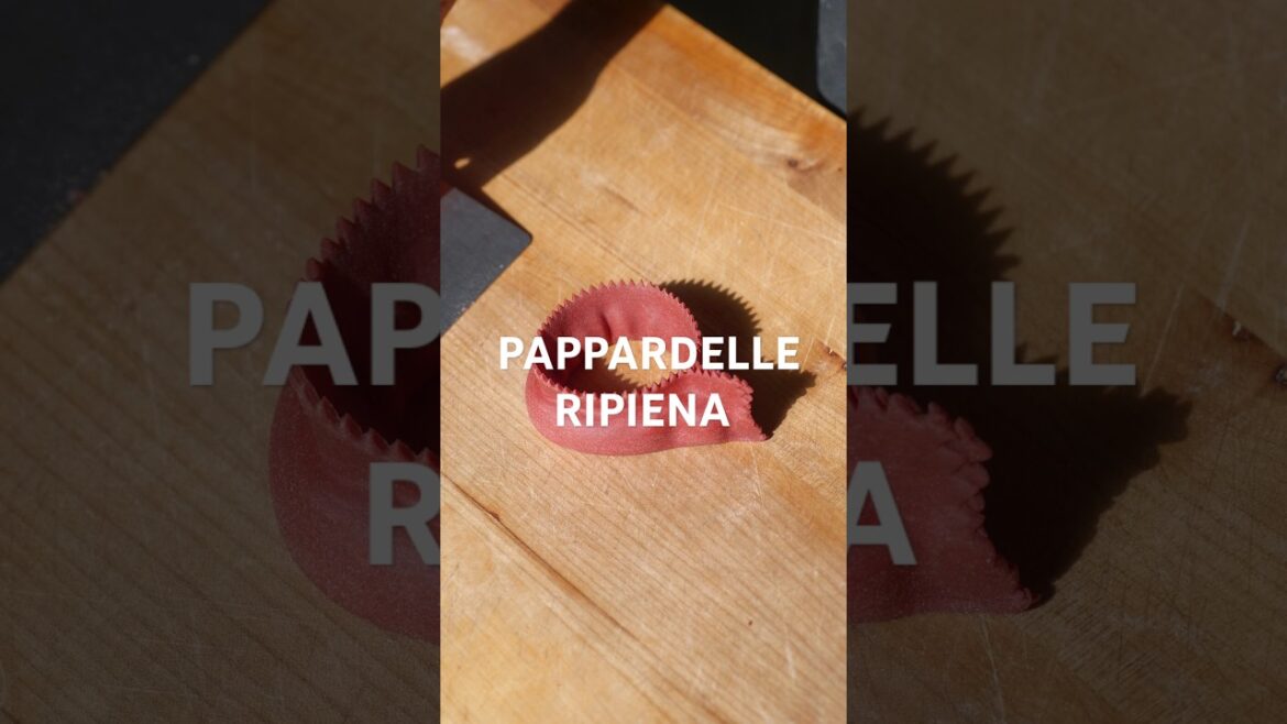 PAPPARDELLE RIPIENA Meaning Stuffed Pappardelle, with ricotta spinach filling! #pasta #asmr #recipes