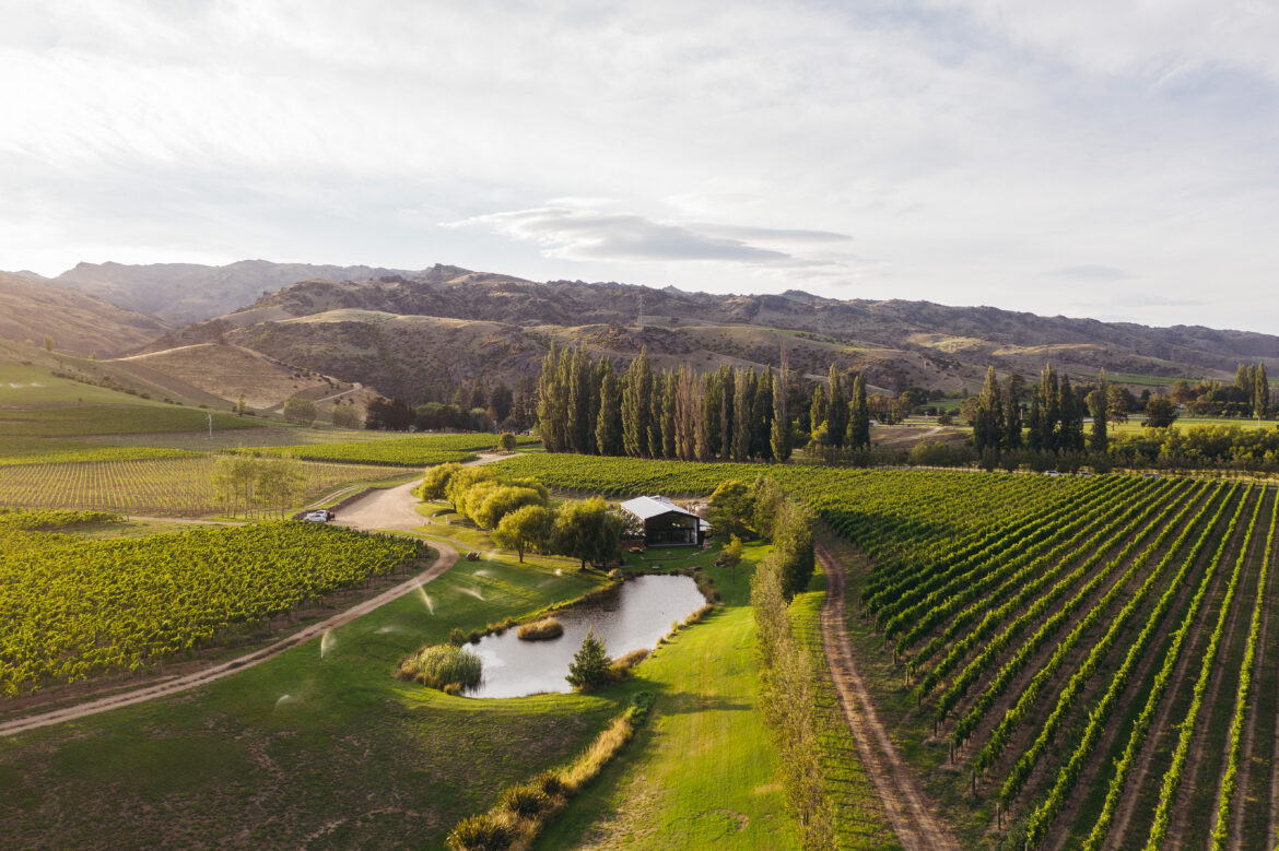 Cloudy Bay Wants to Be Known for More Than Sauvignon Blanc