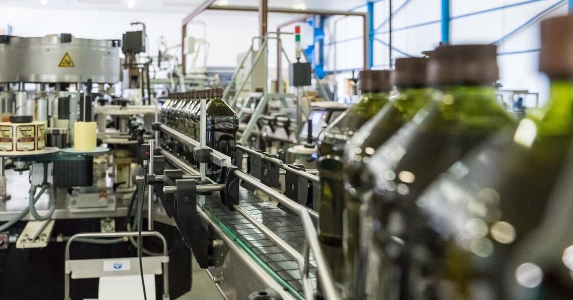 Extra virgin olive oil, the liquid gold of the Mediterranean diet