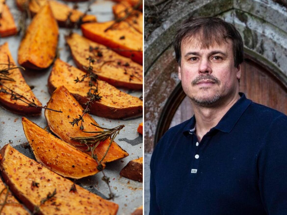 Yahoo lifestyle home