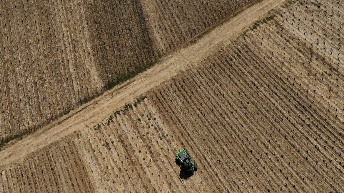 Faced with Trump's new tariff, French wine producers expect rough times ahead