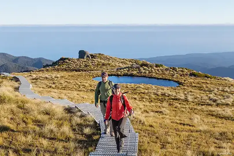 Hump Ridge Track takes hikers along the south coast of New Zealand's South Island