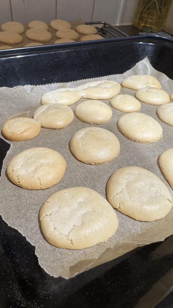 Cracked, wet bottom HELP