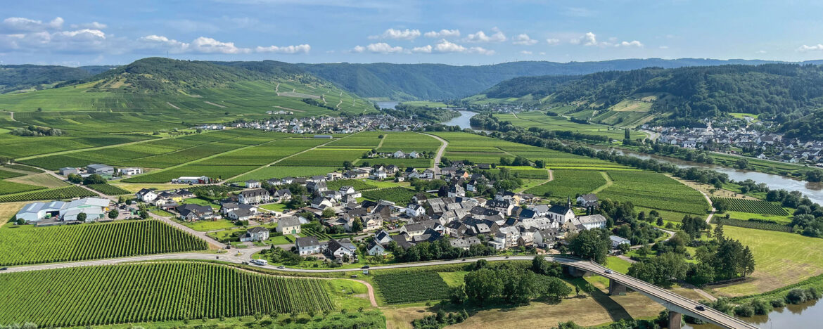 Rooted in viticulture: Love for grapes and wine led viticulturalist to Germany Rooted in viticulture: Love for grapes and wine led viticulturalist to Germany