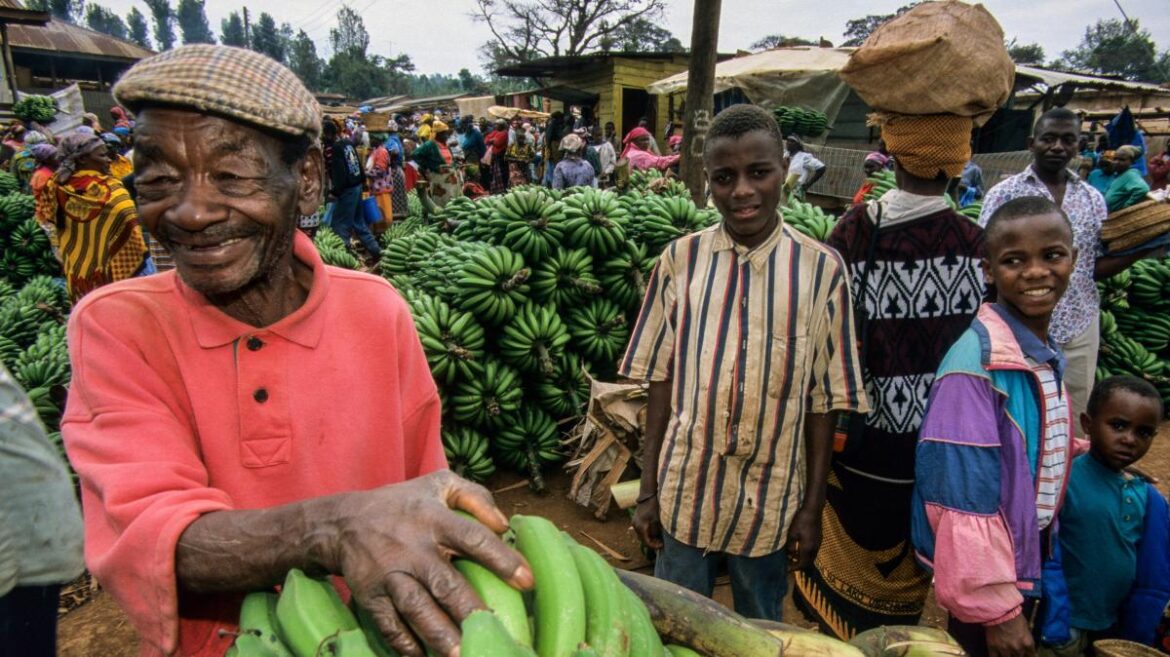 Forget Mediterranean cuisine — here’s the new health diet Forget Mediterranean cuisine — here’s the new health diet