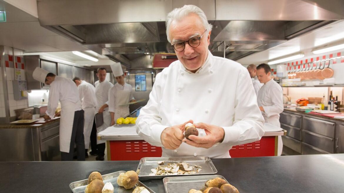 Diet of worms will help us survive climate change, say top chefs