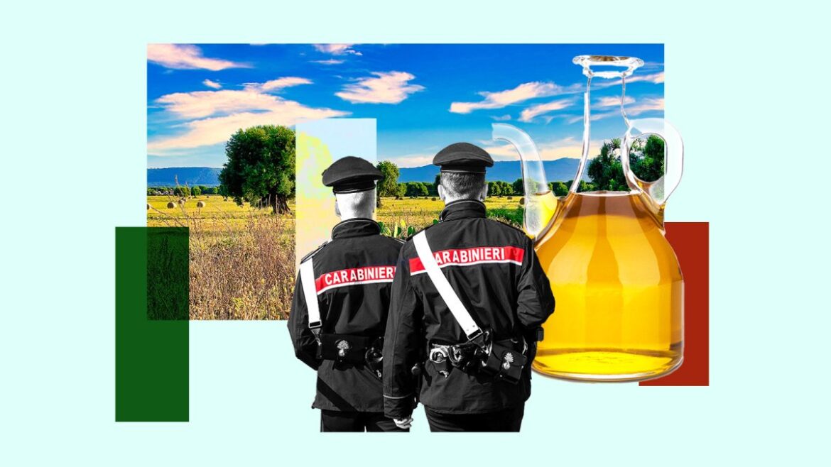 Criminals target Italy’s ‘green gold’ as price of olive oil soars