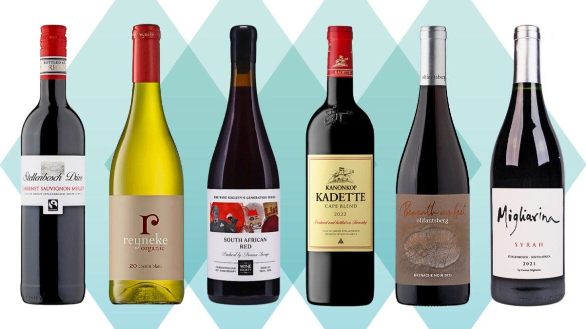 The best wines from South Africa’s Western Cape