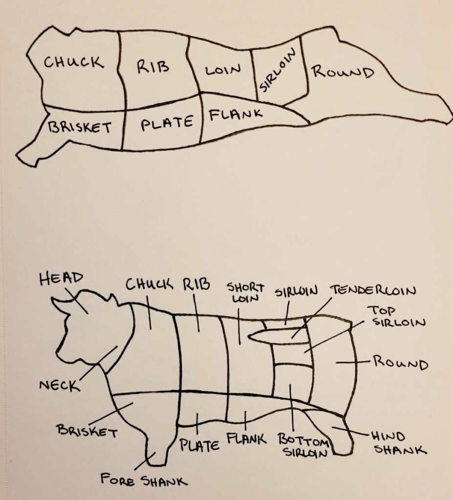 I drew some meat cut charts