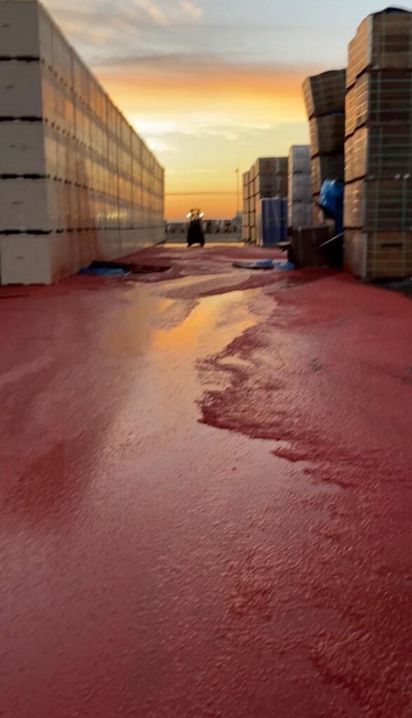 Millions of pounds of diced tomatoes