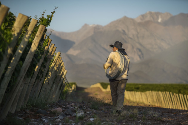 Boutinot partners with Uco Valley winery for new joint venture Boutinot partners with Uco Valley winery for new joint venture