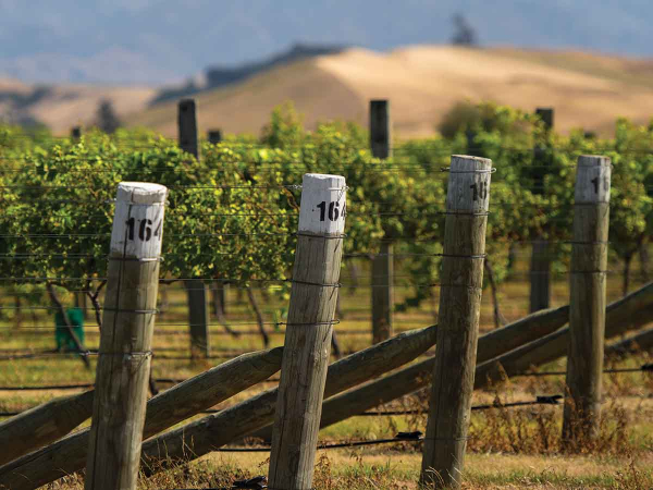 Upcoming events Upcoming events