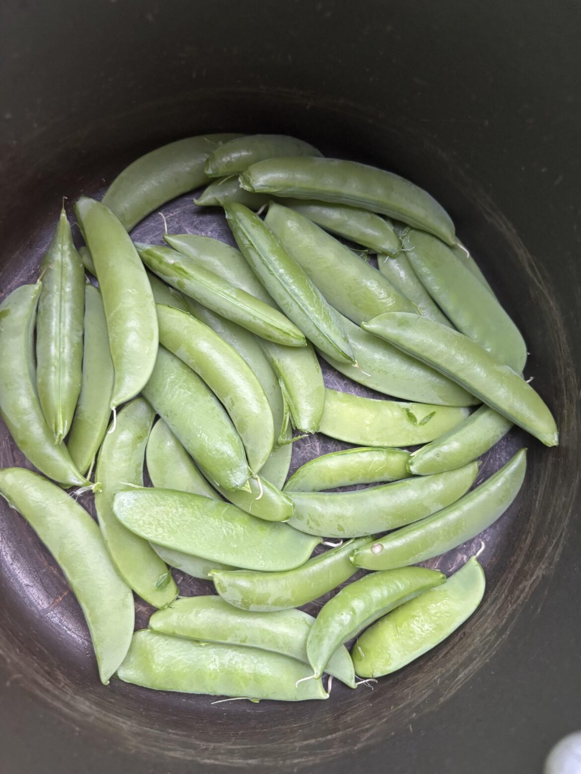 Short spring success