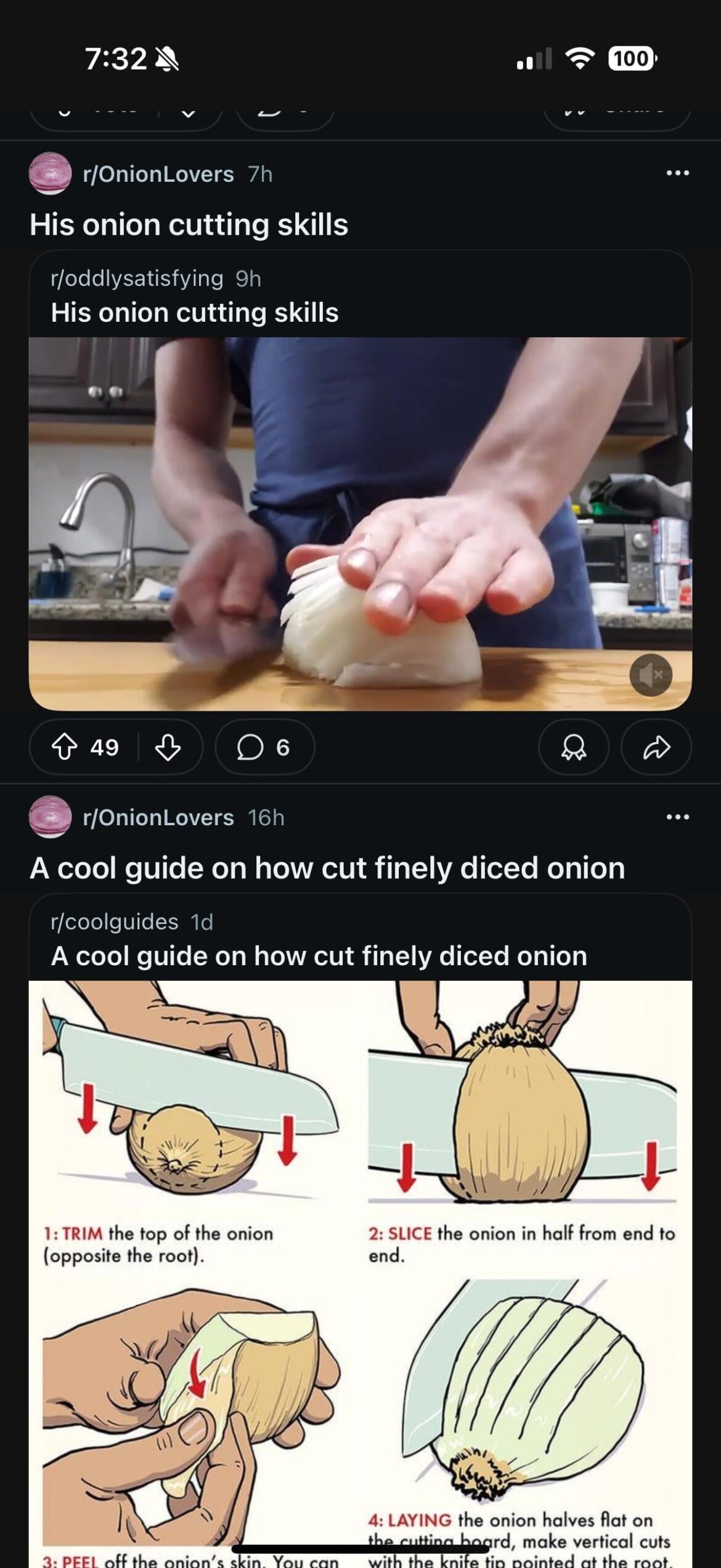 Okay okay I get it! I know how to cut the onions