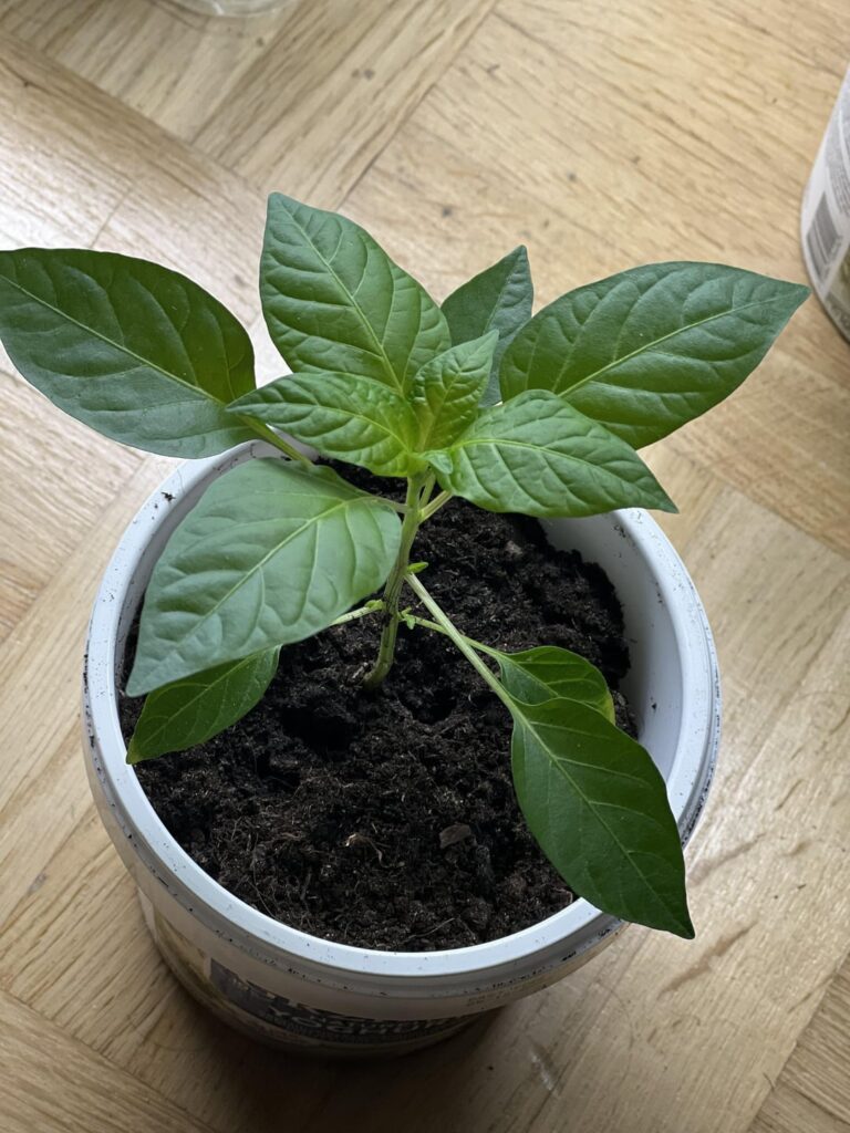 I’m so looking forward to the summer