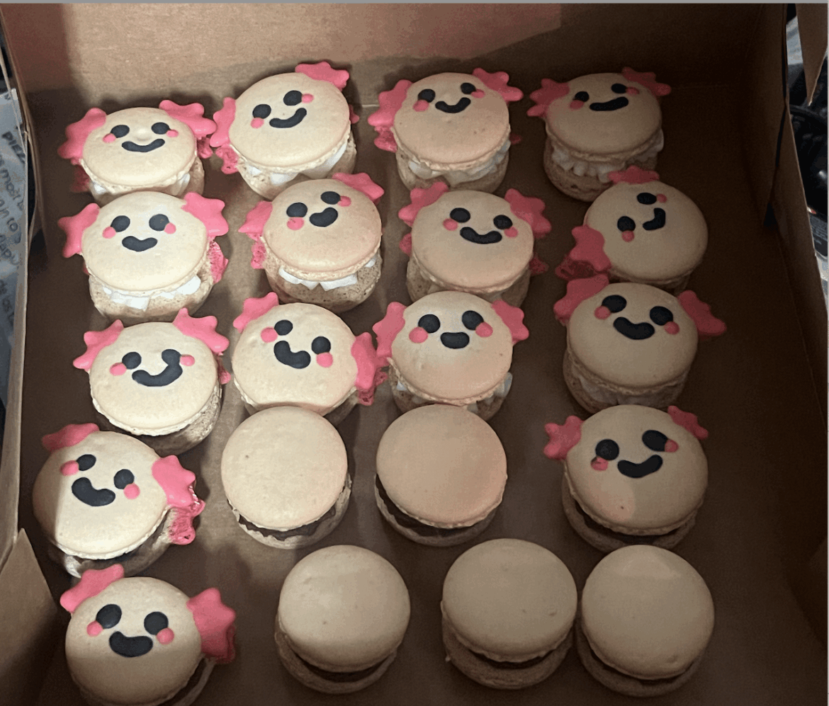 Can you guys tell what animal these macarons are?