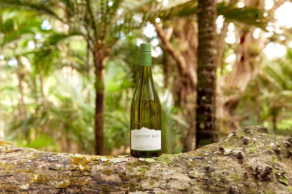 cloudy bay sauvignon blanc 