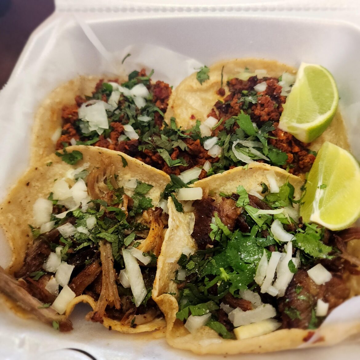 Carnitas (front) and chorizo 🌮 from a local food truck