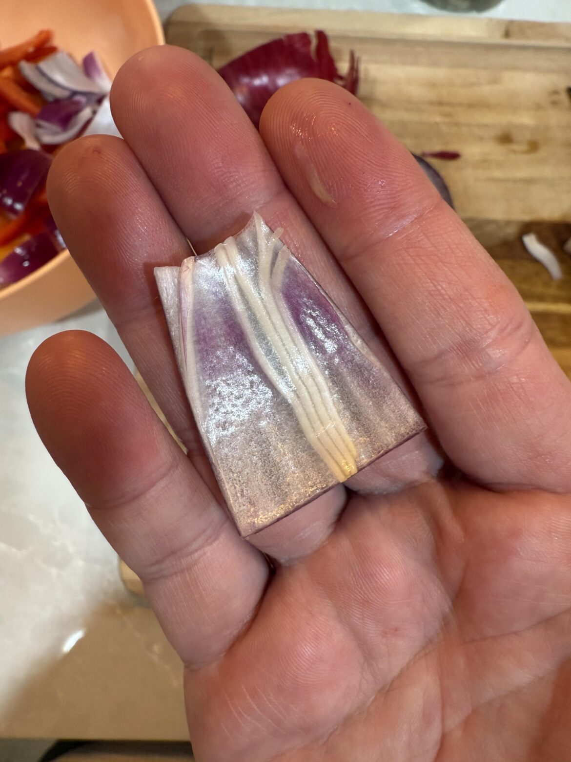 Found these white runners going through my red onion? Are they roots?